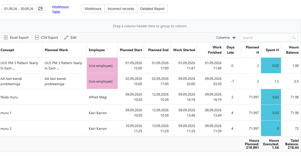 screenshot Workhours Report